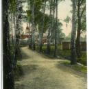 05865-Lublinitz-1905-Waldweg-Brück & Sohn Kunstverlag